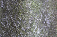 Little Barford fibreglass roof work